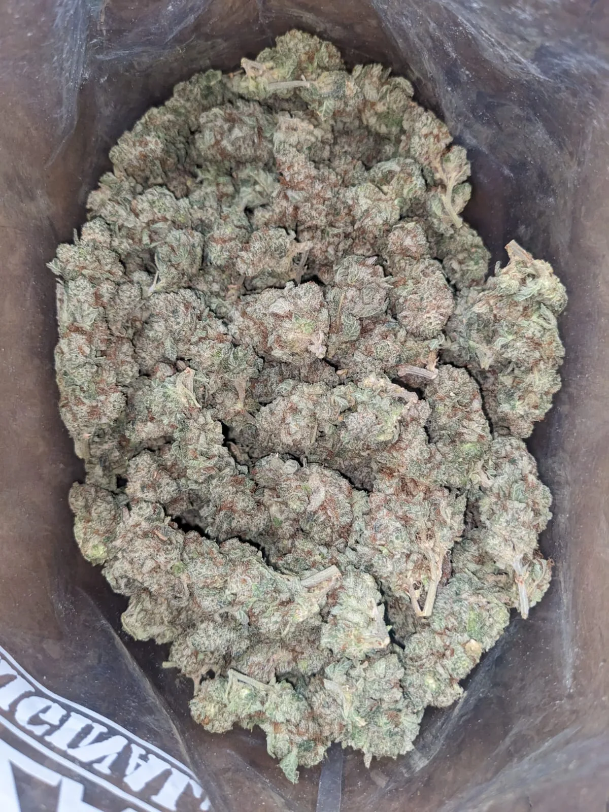 Berry White - Image 4