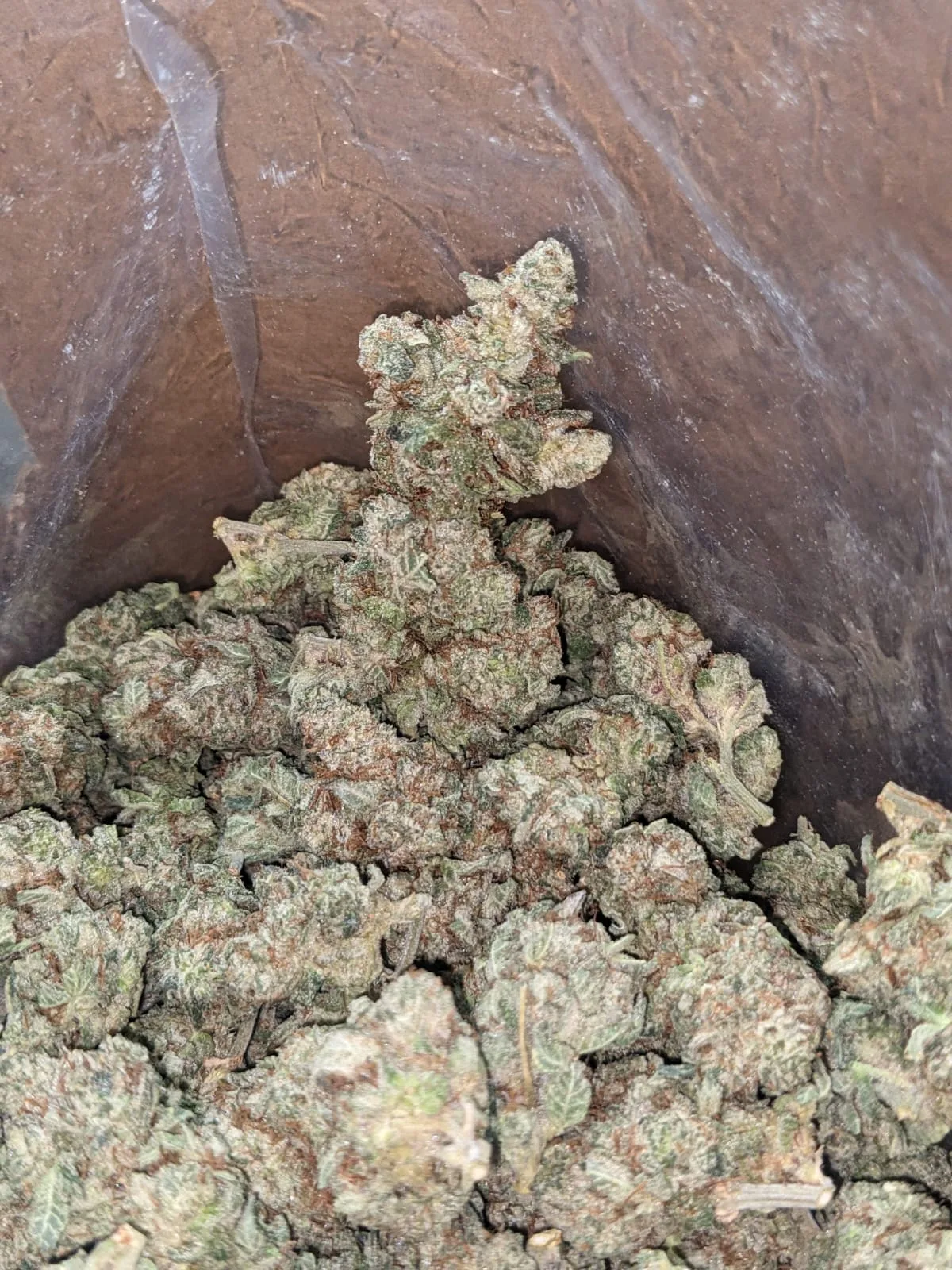 Berry White - Image 7