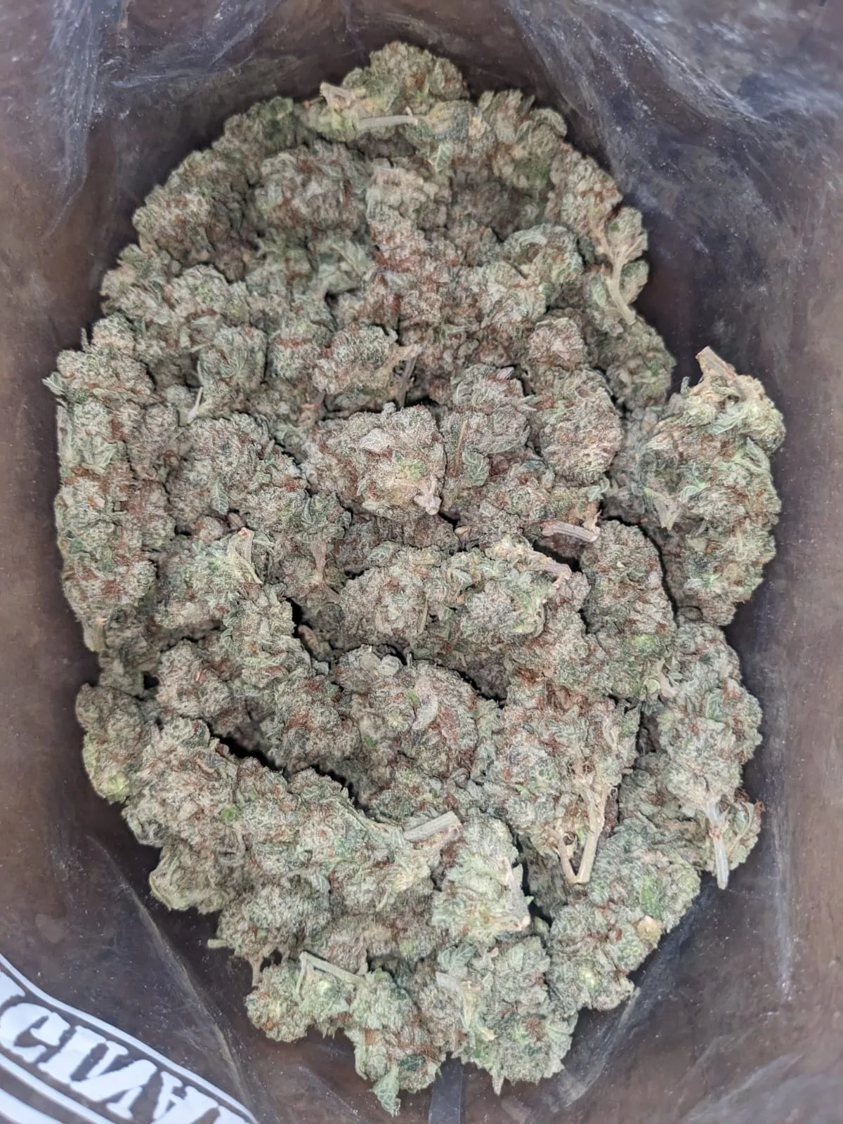 Berry White - Image 6