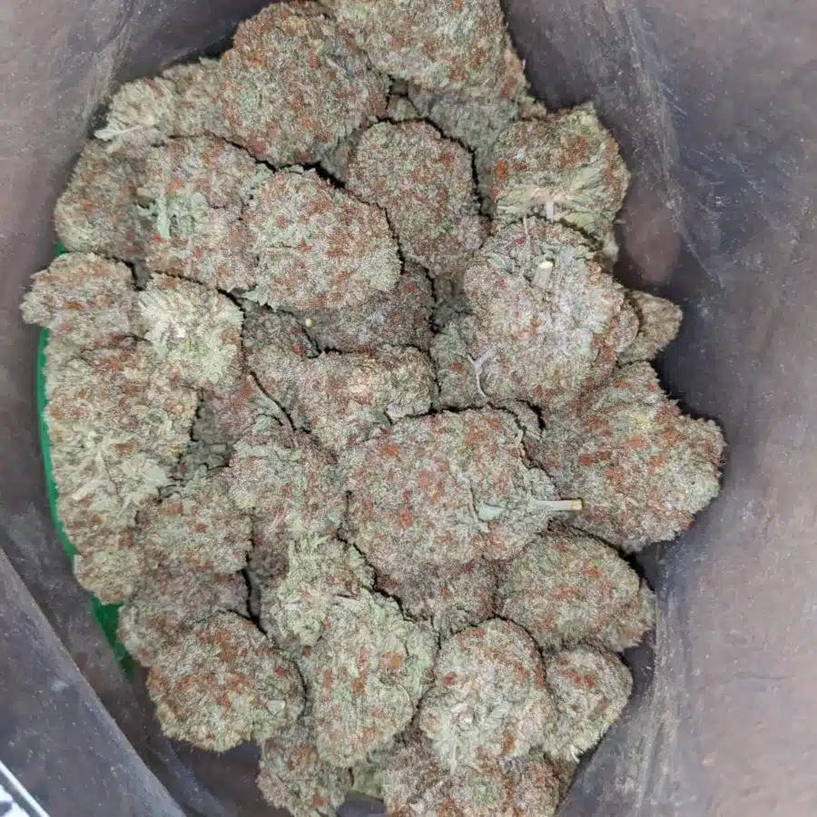 Blue Coma