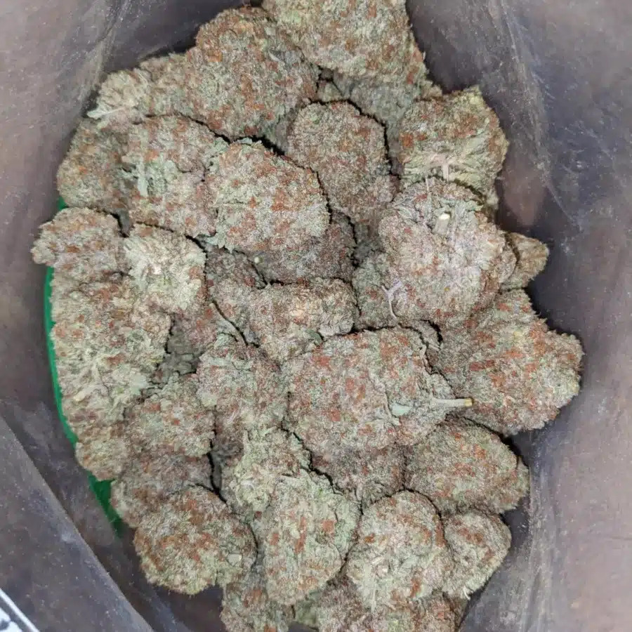Alternative view of Blue Coma