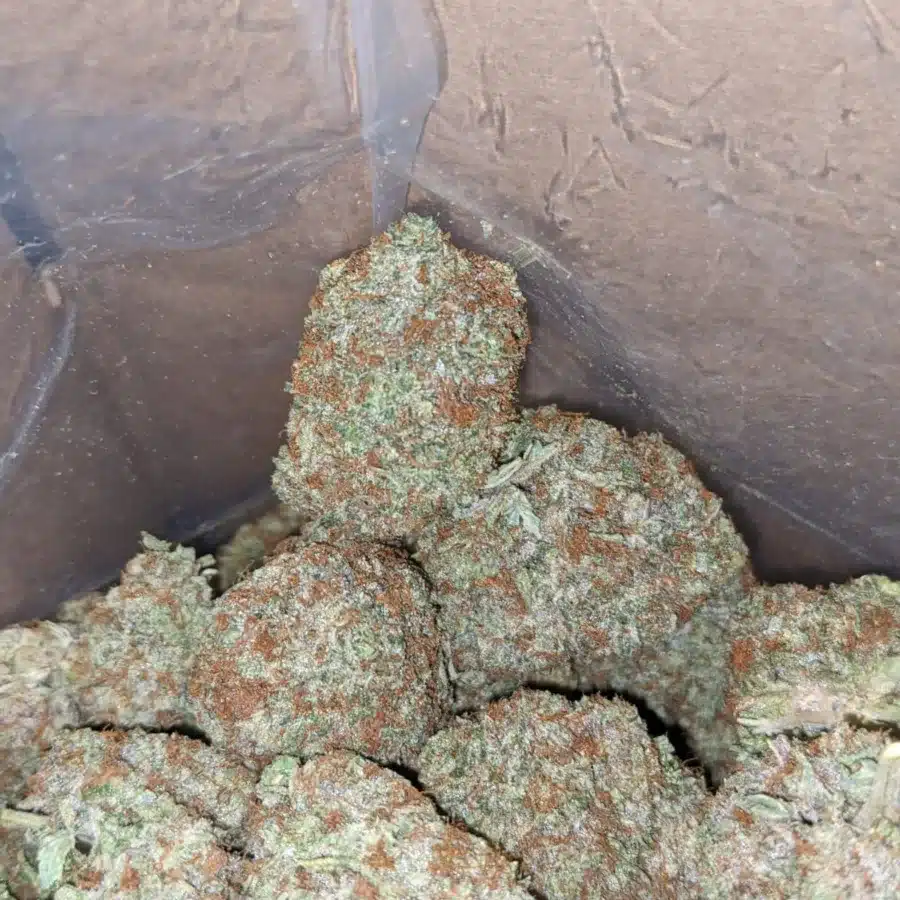 Blue Coma 3 1 I Blue Coma