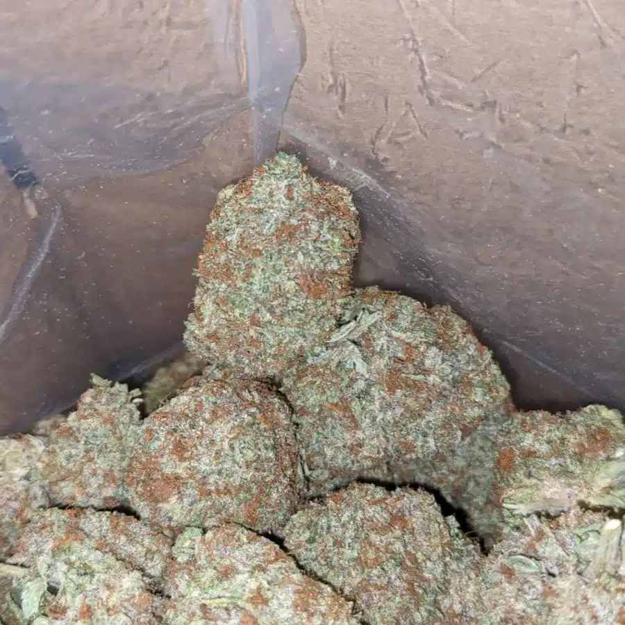 Blue Coma 4 I Blue Coma
