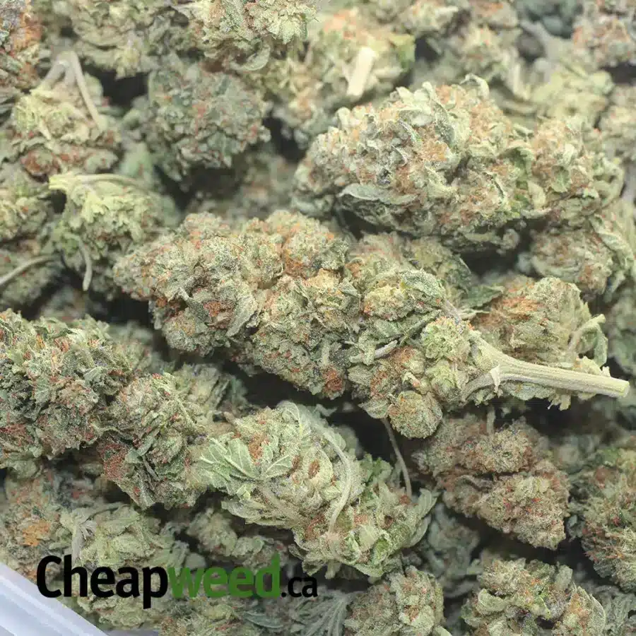 CHEM 91 1 I $ 47 Oz - Chem 91