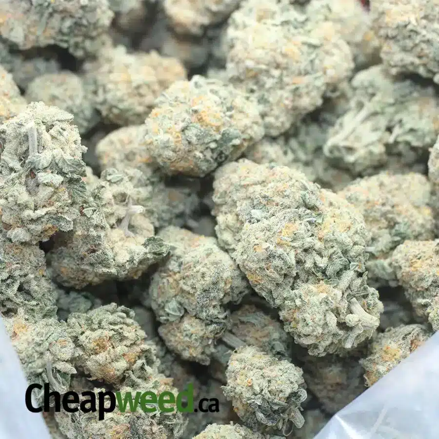 CHEM BOMB 1 I Chem Bomb