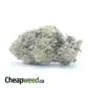 Chem Bomb