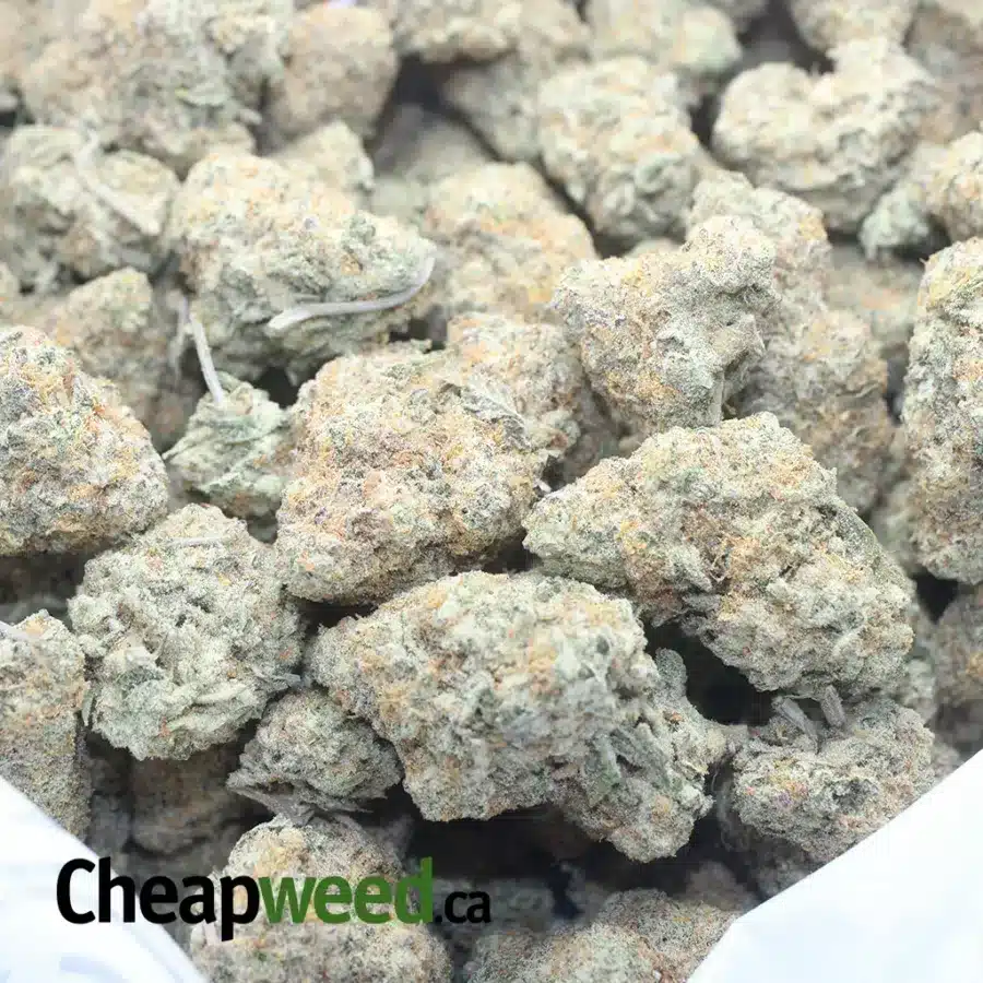CRUNCHBERRY 1 1 I Crunchberry