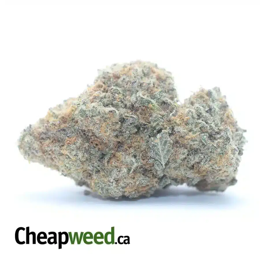 Crunchberry