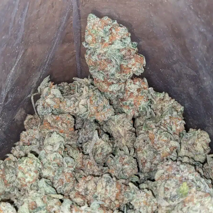 Chem 91 1 1 I Chem 91