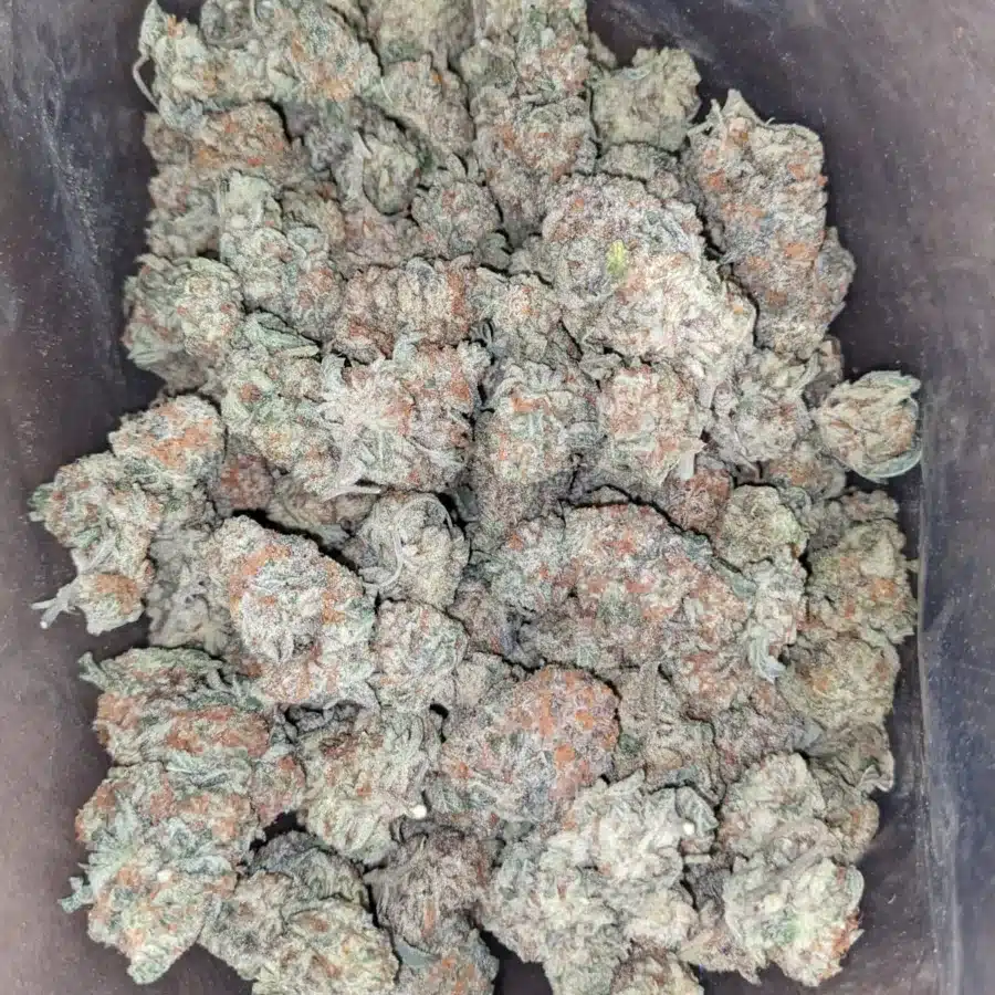 Alternative view of Chem 91