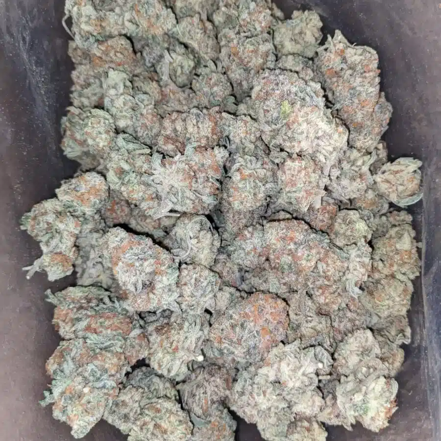 Chem 91