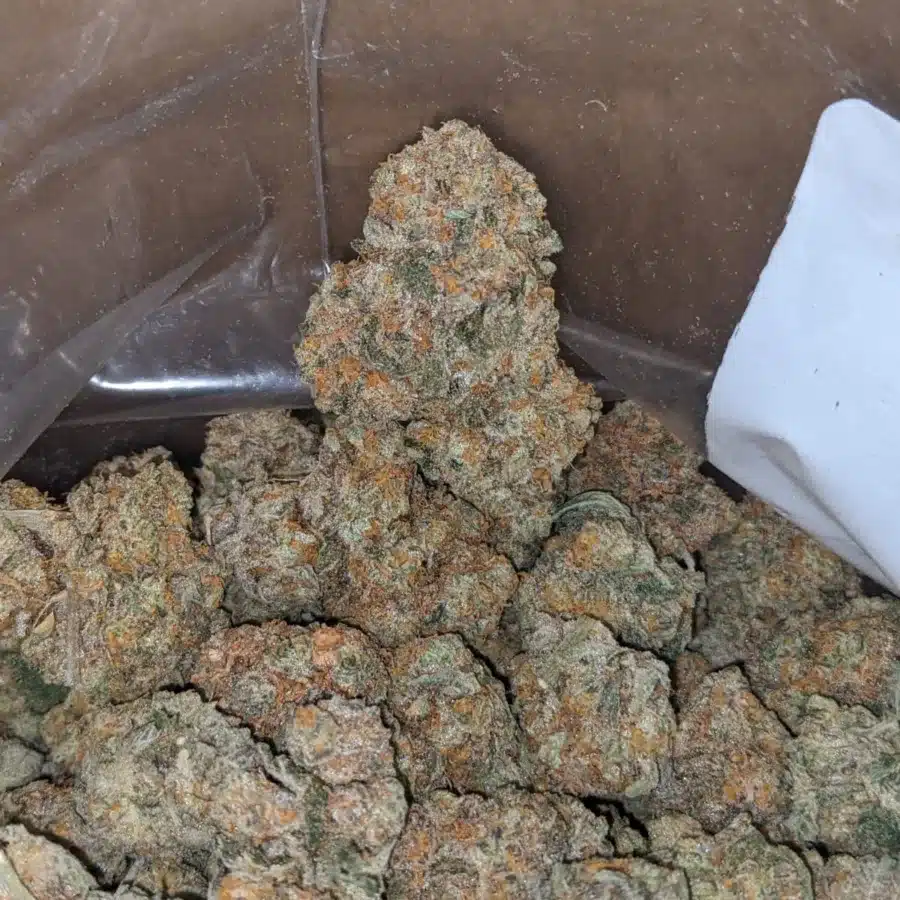 Chem Bomb 3 1 I Chem Bomb