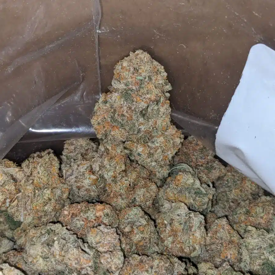 Chem Bomb 4 I Chem Bomb