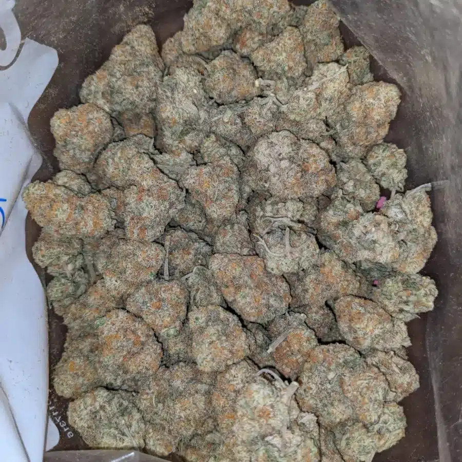 Crunchberry 1 I Crunchberry