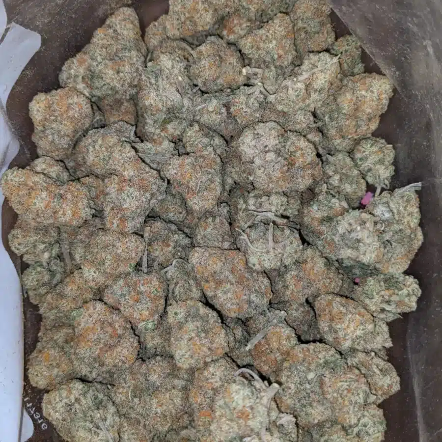 Crunchberry 4 I Crunchberry