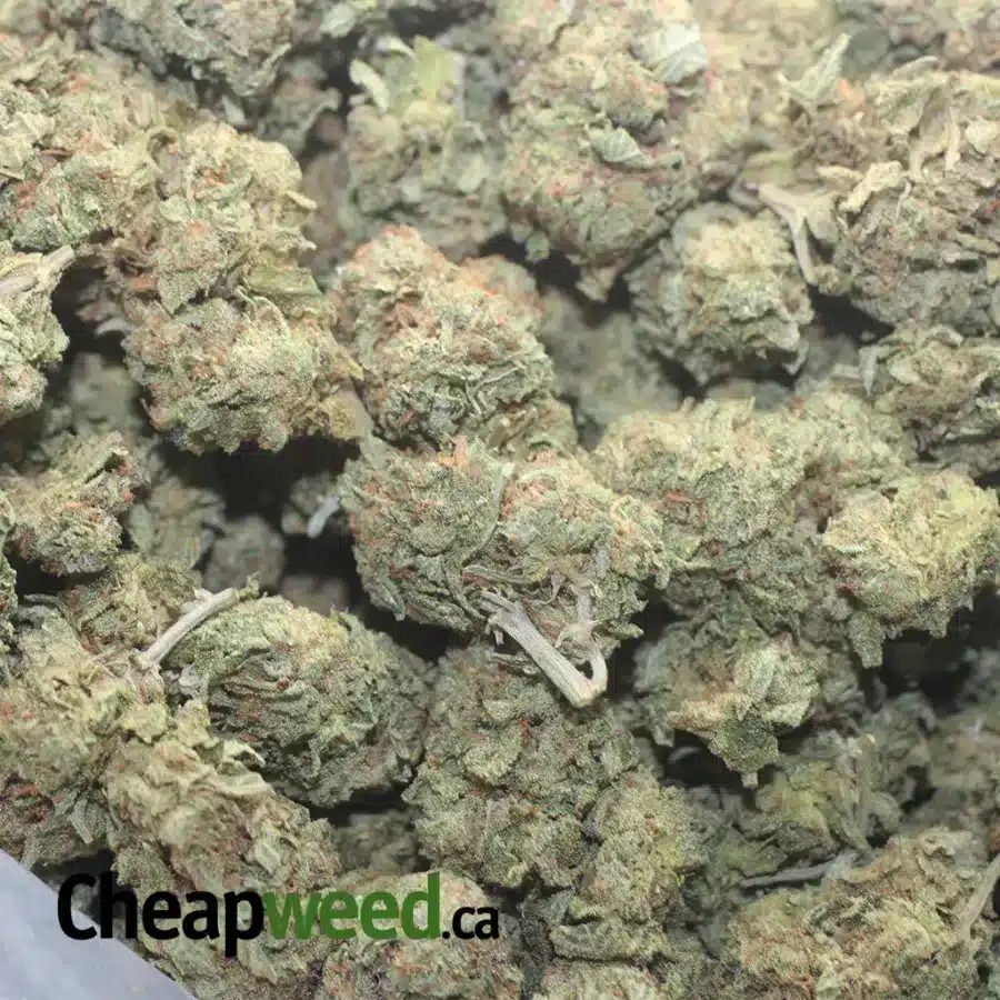 EARTH OG 1 I Earth OG