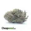 Earth OG