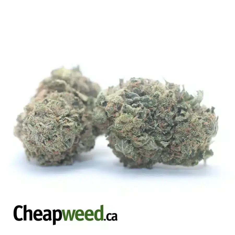 EARTH OG 3 I Earth OG