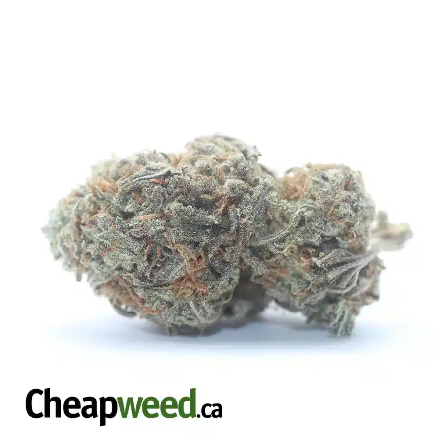 $ 45 Oz - Fortune Cookies