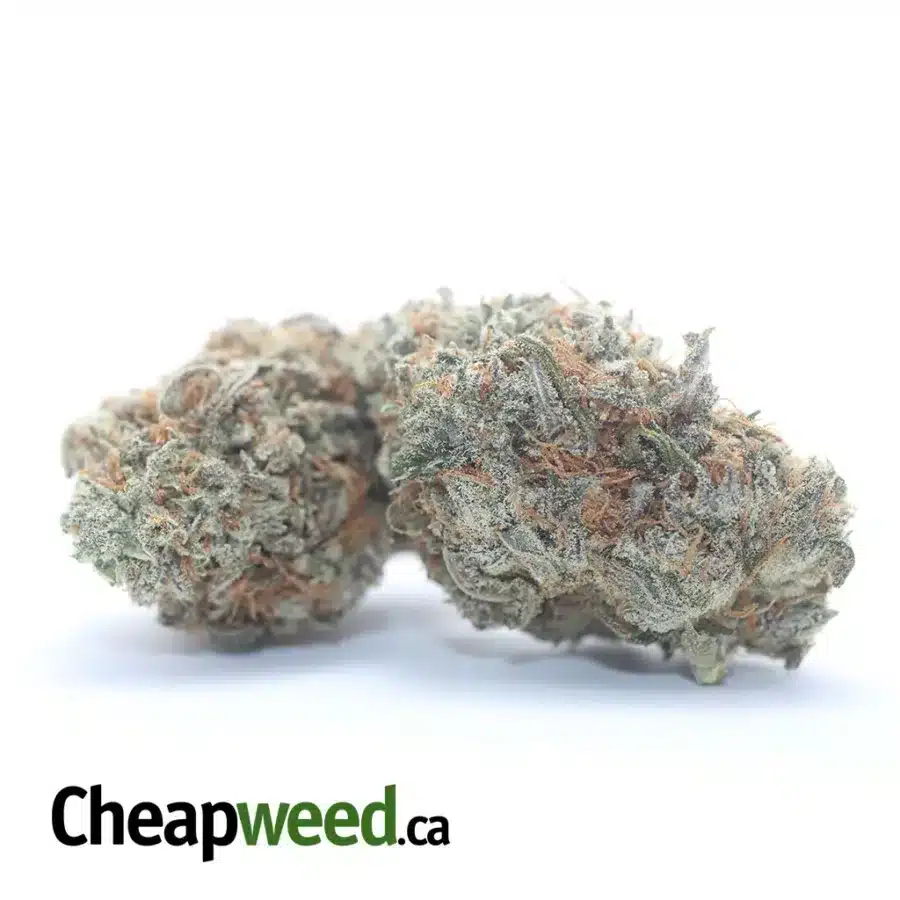 Alternative view of $ 45 Oz - Fortune Cookies