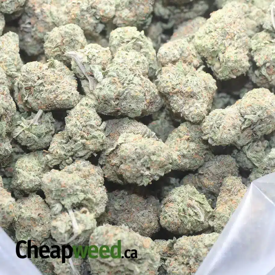 FRUIT GUSHERS 1 I $ 59 Oz - Fruit Gusher