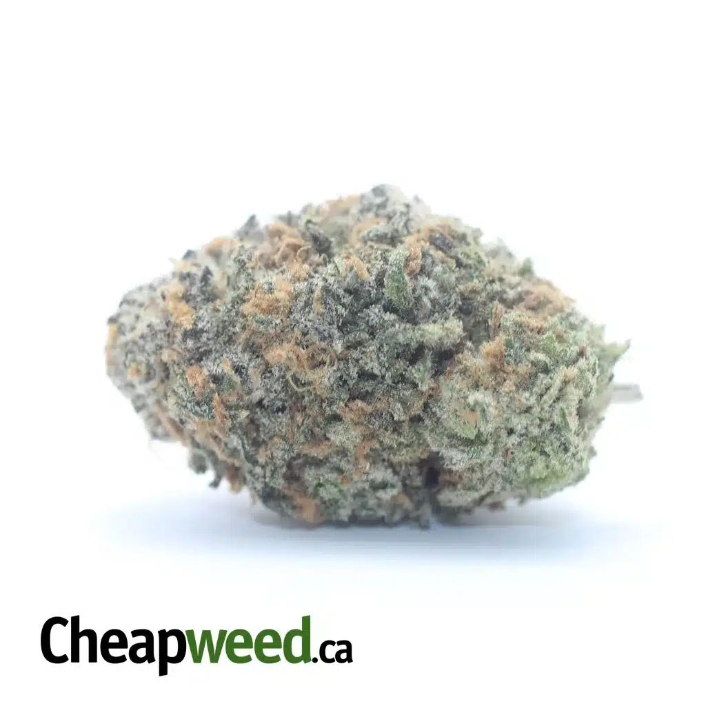 $ 63 Oz - Fruit Punch