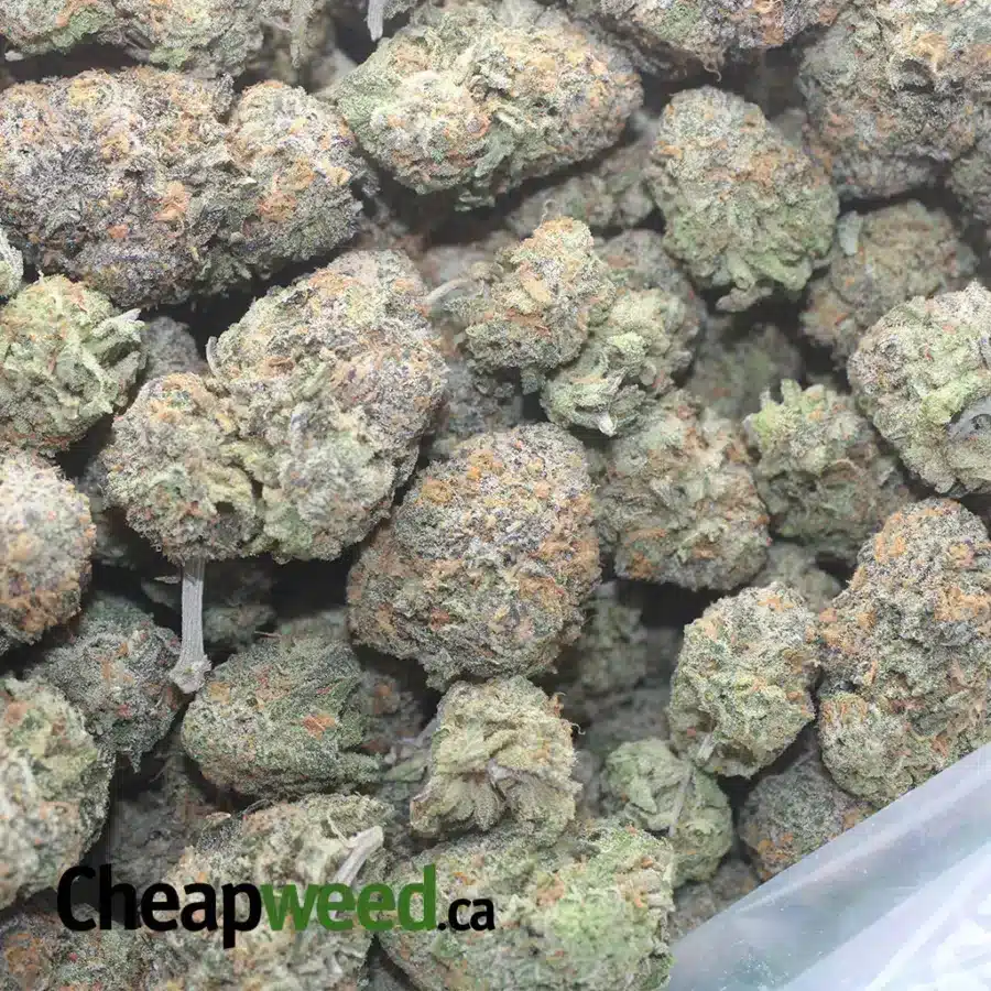 FRUIT PUNCH4 I $ 63 Oz - Fruit Punch