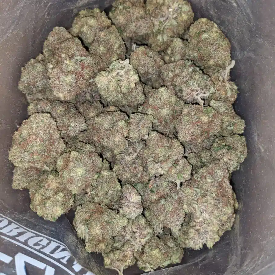 Fruit Pebbles 1 I Fruity Pebbles