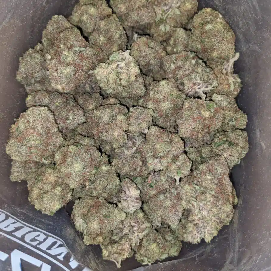 Fruit Pebbles 2 I Fruity Pebbles