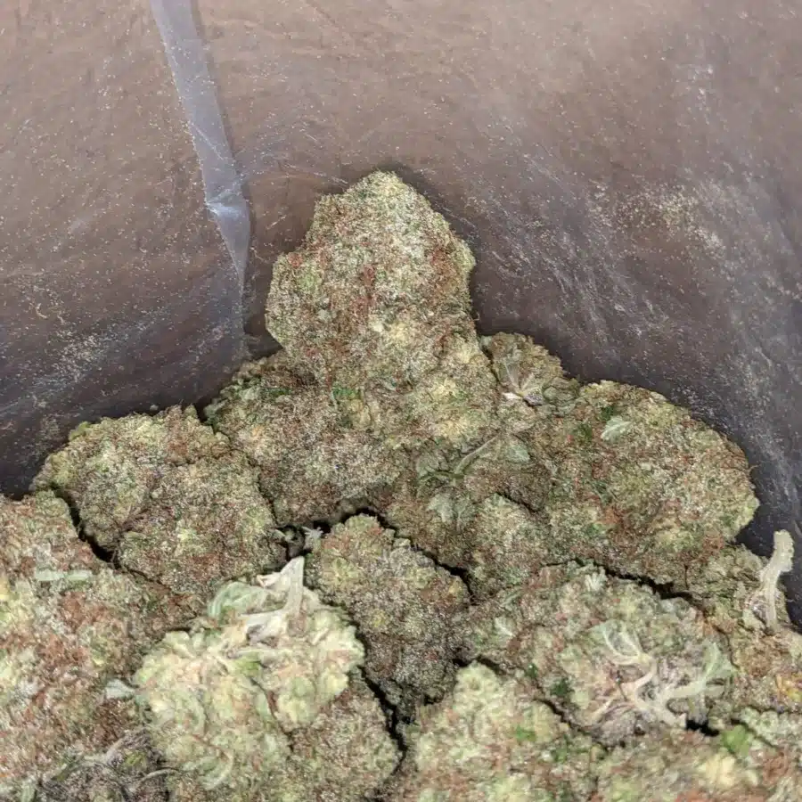 Fruit Pebbles 3 I Fruity Pebbles