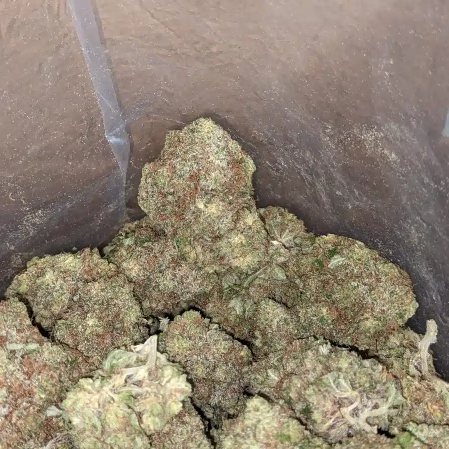 Fruit Pebbles 4 I Fruity Pebbles