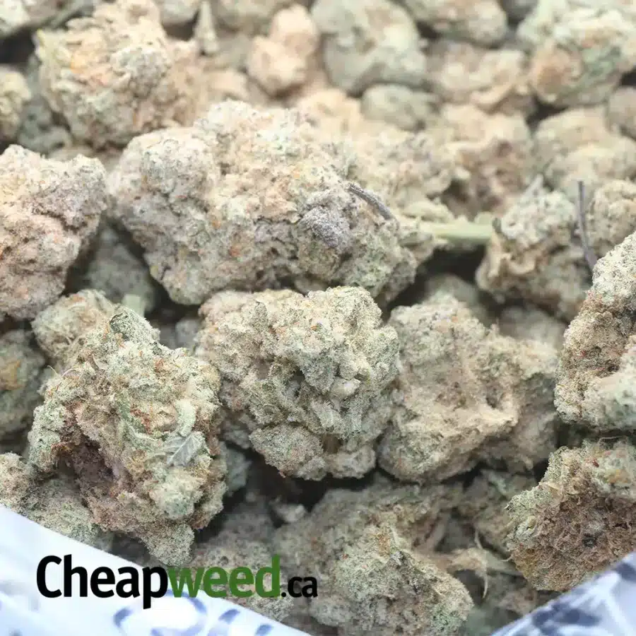 GMO COOKIES BS 1 I GMO Cookies Bulk Special