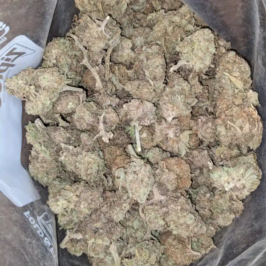GMO Cookies Bulk Special 1 I GMO Cookies Bulk Special