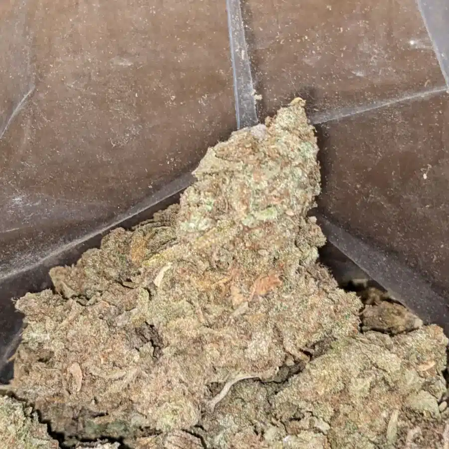 GMO Cookies Bulk Special 3 I GMO Cookies Bulk Special