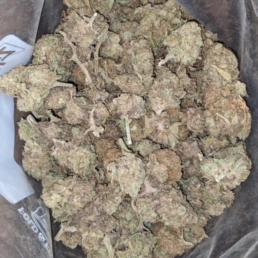 GMO Cookies Bulk Special 4 I GMO Cookies Bulk Special