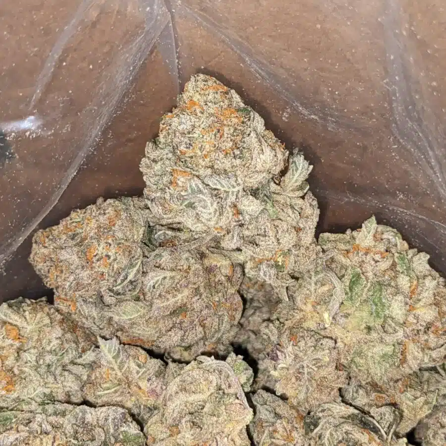Ghost Train Haze 1 1 I Ghost Train Haze