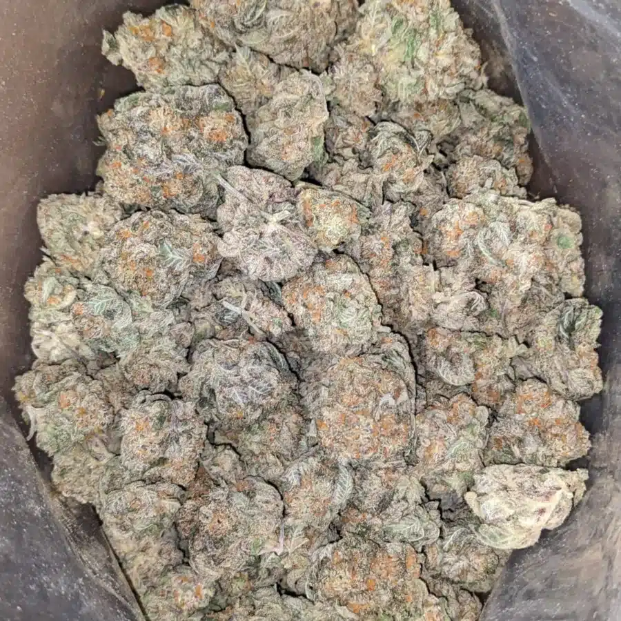 Alternative view of Ghost Train Haze