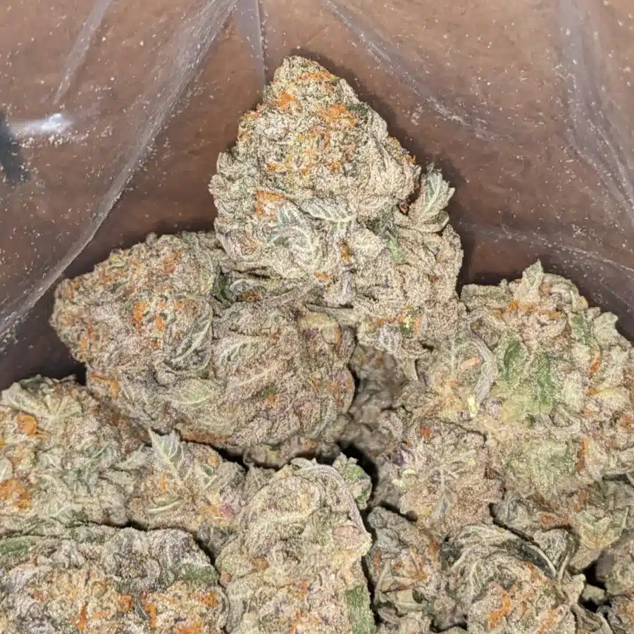 Ghost Train Haze 3 1 I Ghost Train Haze
