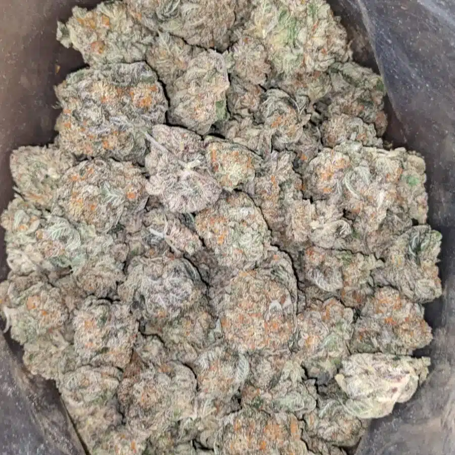 Ghost Train Haze