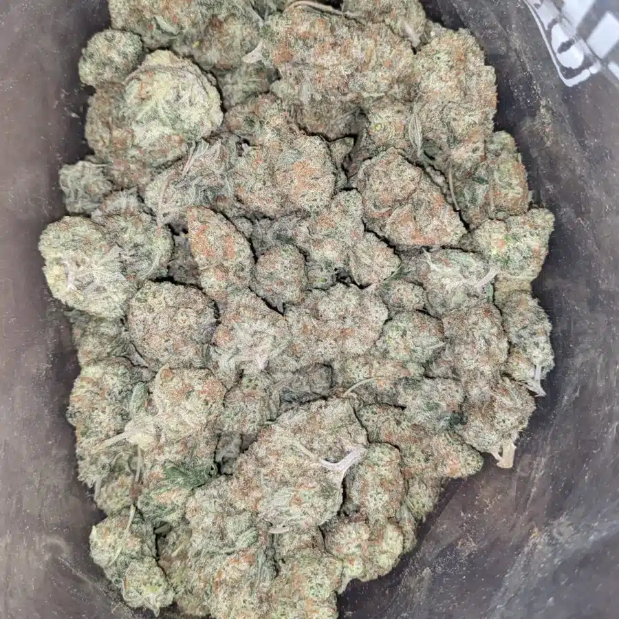 Girl Scout Cookies 1 1 I $ 54 Oz - Girl Scout Cookies