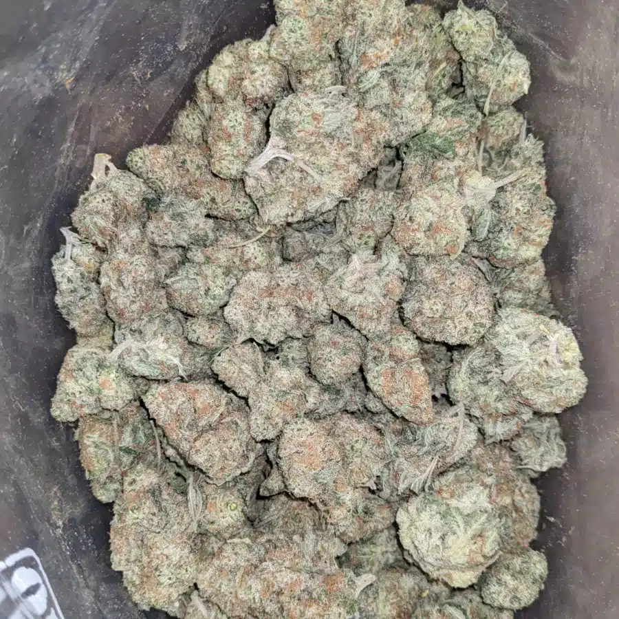 Girl Scout Cookies 4 I $ 54 Oz - Girl Scout Cookies