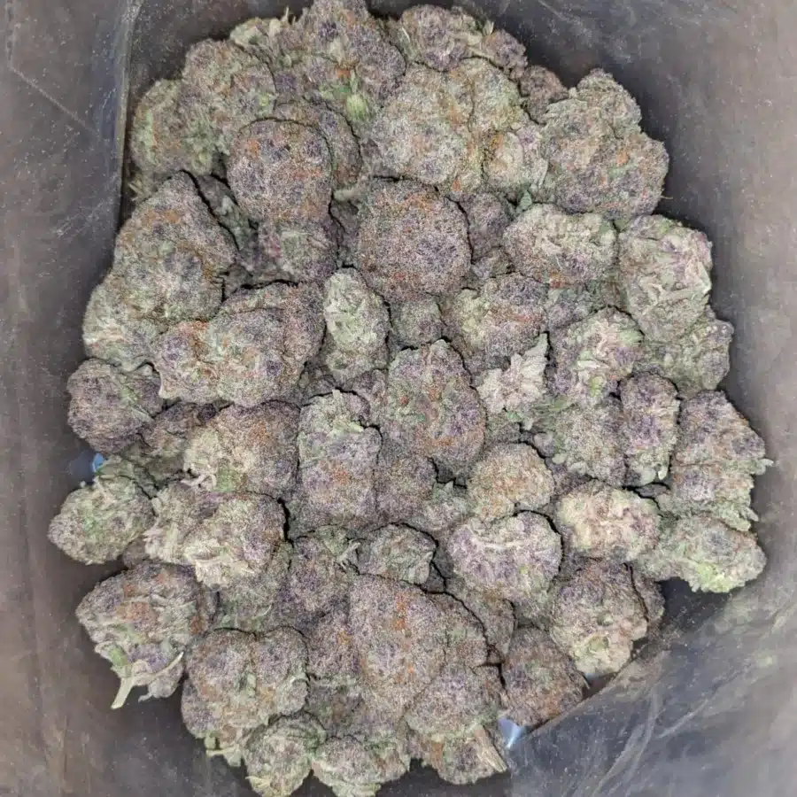 Grape Ape