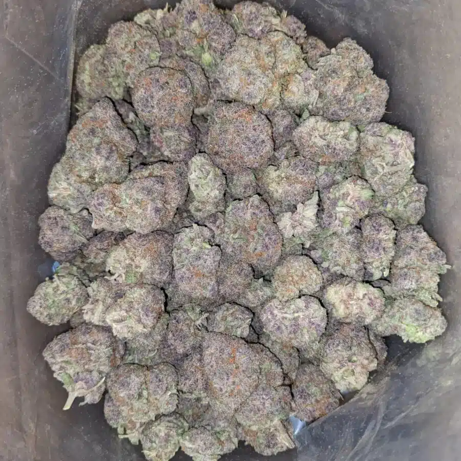 Alternative view of Grape Ape