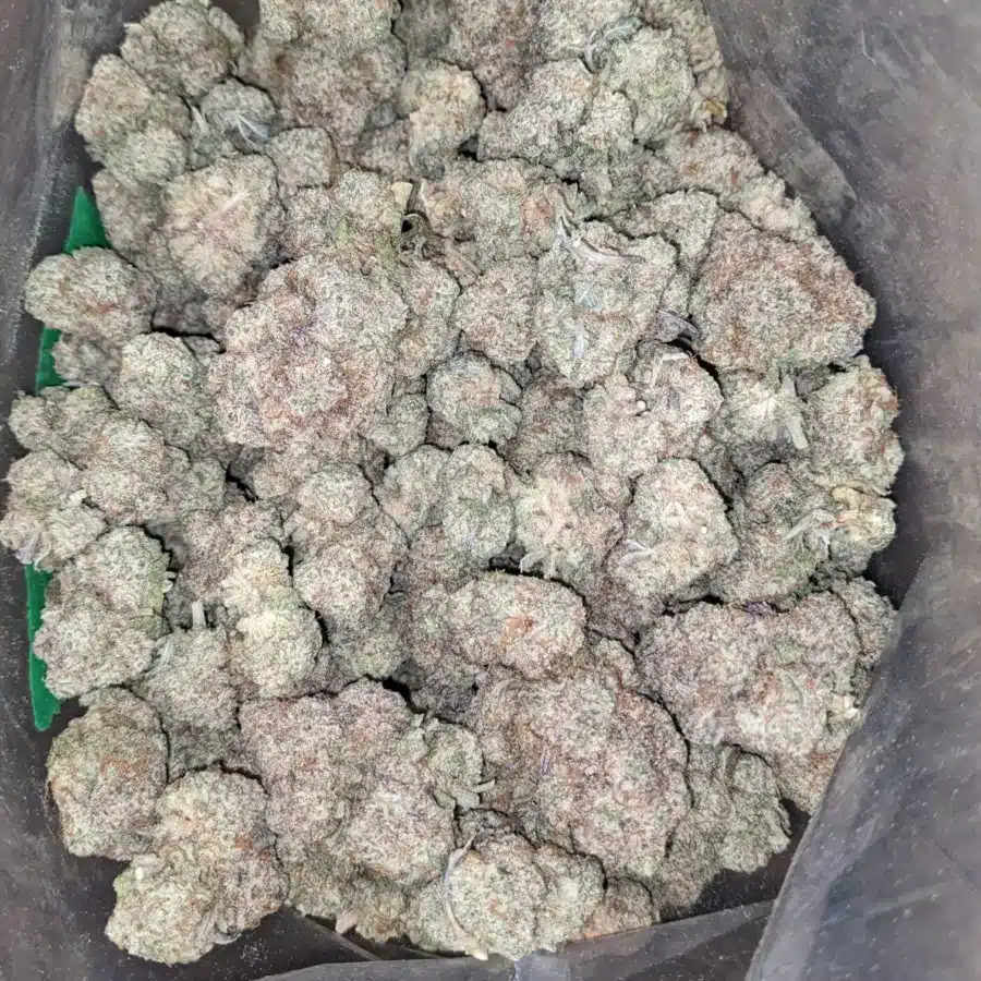 Gushers 1 I $ 55 Oz - Gushers