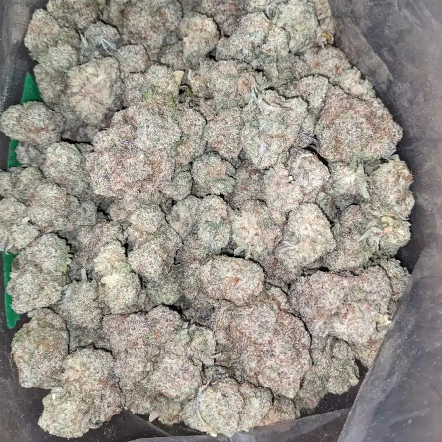 Gushers 2 I $ 55 Oz - Gushers