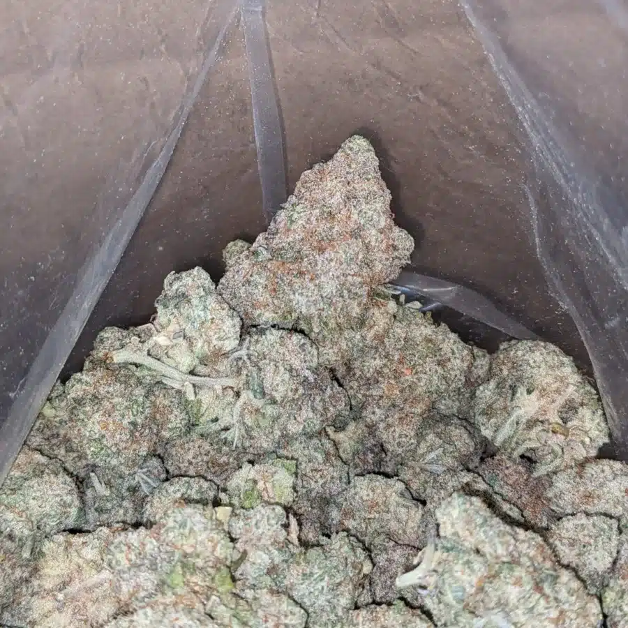 Gushers 3 I $ 55 Oz - Gushers