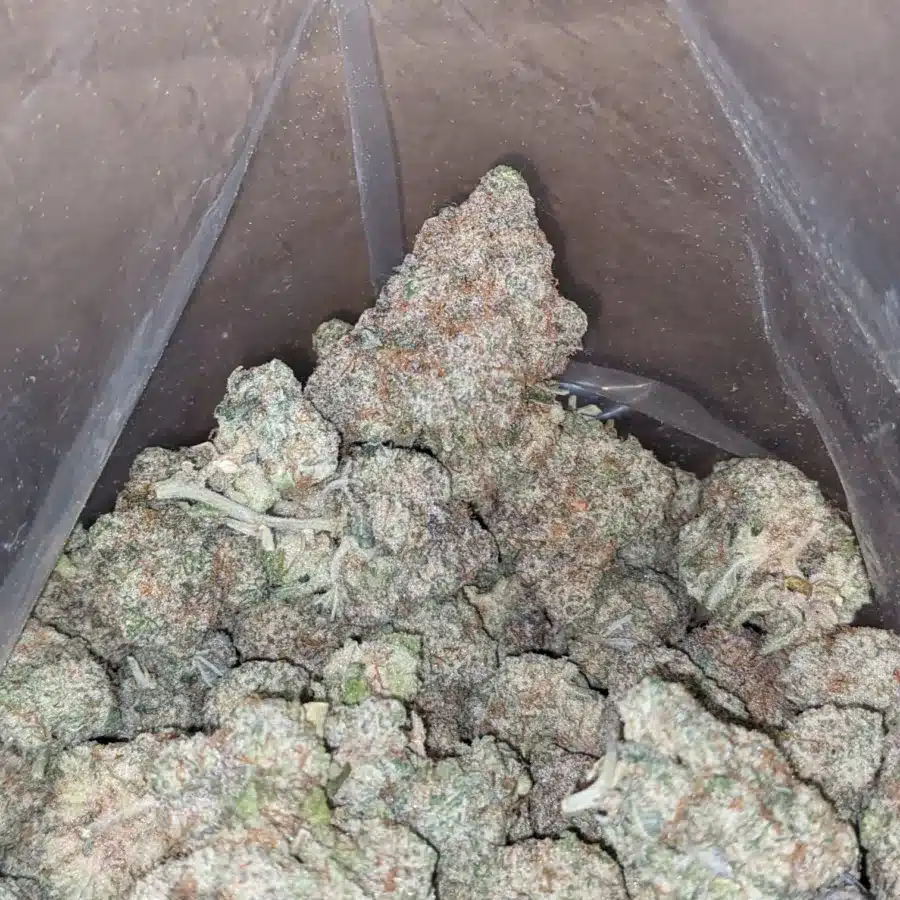 Gushers 4 I $ 55 Oz - Gushers