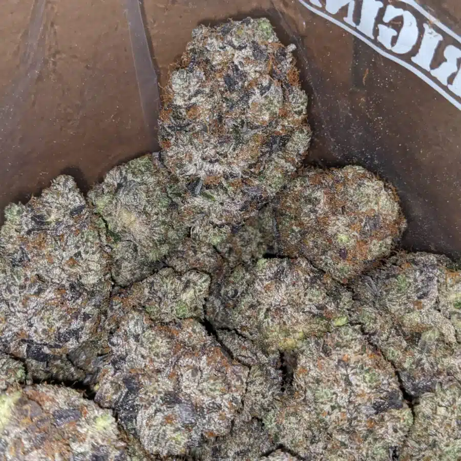 HOLY GRAIL 1 I Holy Grail