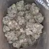 Holy Grail