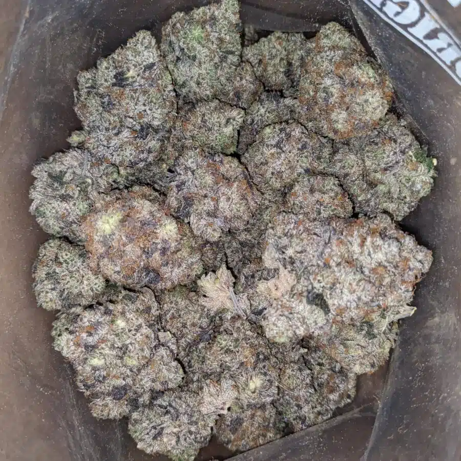 HOLY GRAIL 4 I Holy Grail